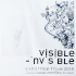 Image 1 visible-invisible-2